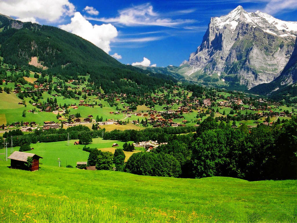 自然,景观,山脉,雾霭,瑞士,阿尔卑斯,山谷,森林,山路,阳光-千叶网