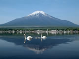 日本富士山壁纸 (第 13 张)