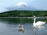 日本富士山壁纸 (第 15 张)