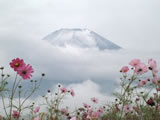 日本富士山壁纸 (第 19 张)