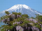 日本富士山壁纸 (第 7 张)
