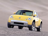 ڼ׿ǳBeetleֽ ( 17 )