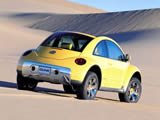 ڼ׿ǳBeetleֽ ( 18 )