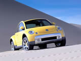 ڼ׿ǳBeetleֽ ( 19 )