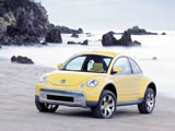 ڼ׿ǳBeetleֽ ( 21 )