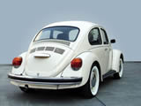 ڼ׿ǳBeetleֽ ( 28 )