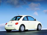 ڼ׿ǳBeetleֽ ( 6 )