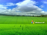 Windows XPϵͳֽ ( 5 )