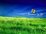 Windows XP系统壁纸 (第 7 张)